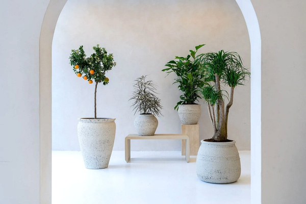 Ares L 54/69 grecka antyczna donica kremowa