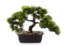 Sztuczny Bonsai Pinia Sosna 23x30 cm w doniczce