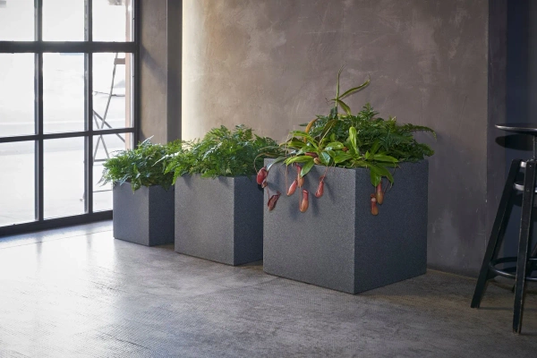 Kube 50x50/50 donica kubik szara cement