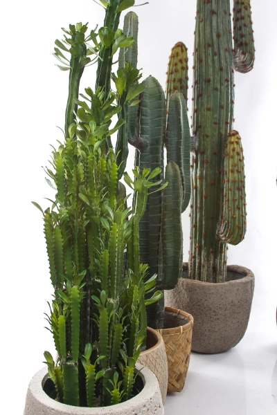 Sztuczny Kaktus Euphorbia Royleana 118 cm