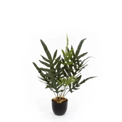 Sztuczna paproć blue fern phlebodium 40 cm w doniczce