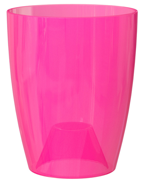 Fiji Orchid 12,5 przezroczysta fuksja osłonka do storczyków