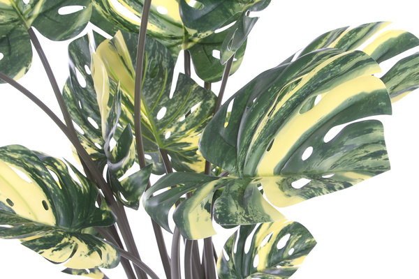 Sztuczna Monstera dziurawa Variegata zielono-żółta 120 cm