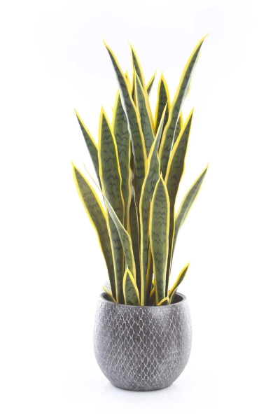 Madeira Vase 30/50 waza ceramiczna srebrna