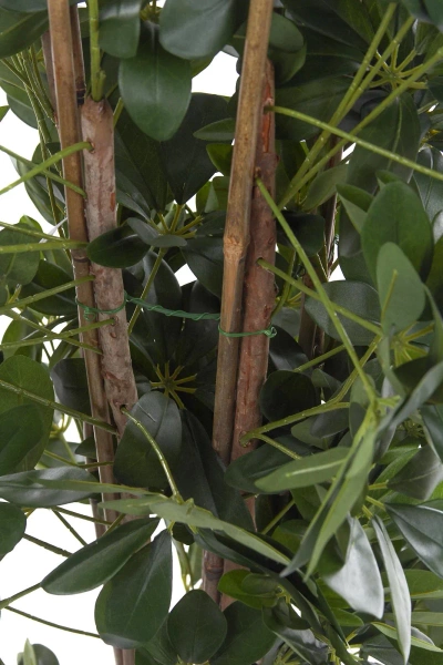 Sztuczna Schefflera gęsta na naturalnych pniach 120 cm deluxe