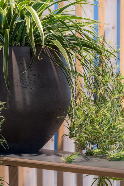 Mini Orb XL 39/35 czarna donica kulista