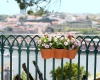 Capri Triple 54 doniczka podłużna na balkon terakota