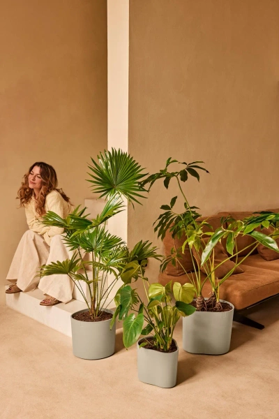 Eden 30 donica asymetryczna soft taupe Elho