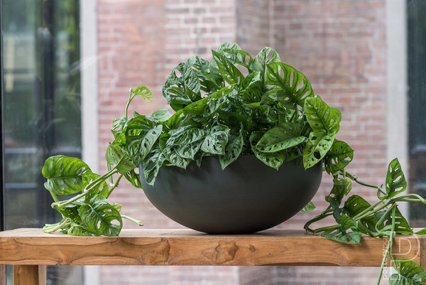 Morgana XXS 30/13 doniczka misa biały naturalny beżowy