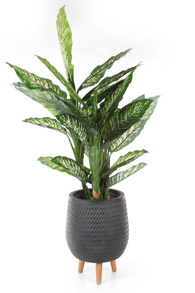 CORDA 22/32 czarna osłonka na drewnianych nóżkach