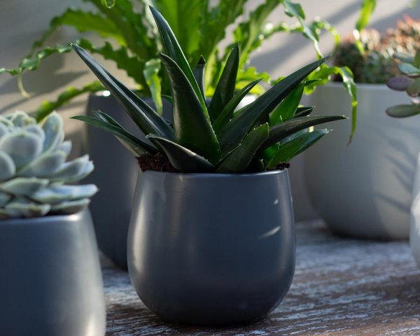 Vitoria 16/15 osłonka ceramiczna jasnoszara