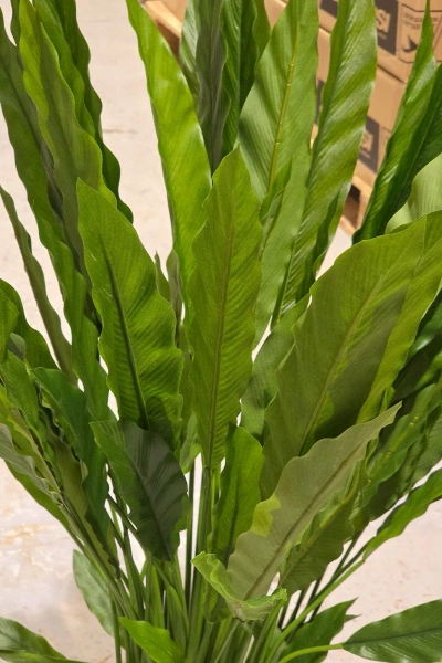 Sztuczna Kalatea Calathea 84 cm