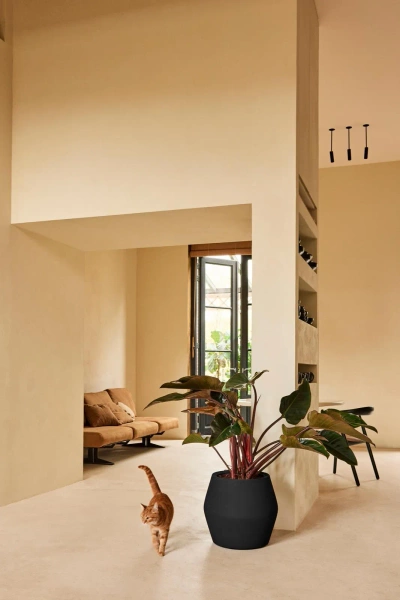 June Split Low 46/42 niska czarna osłonka designerska