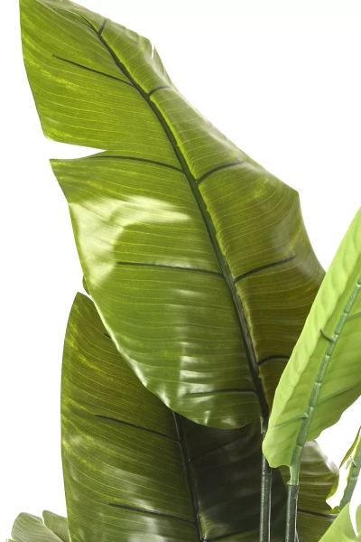 Sztuczna wysoka Strelitzia 200 cm 18 liści