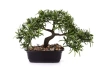 Sztuczny Bonsai Podocarpus 23x30 cm w doniczce