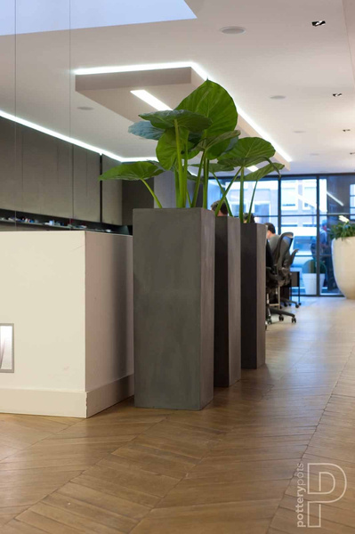 Bouvy L 40x40/80 wysoka donica kolumnowa szara