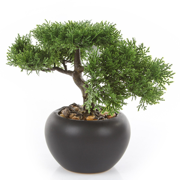 Sztuczne drzewko Bonsai Cedr 26 cm czarnej doniczce