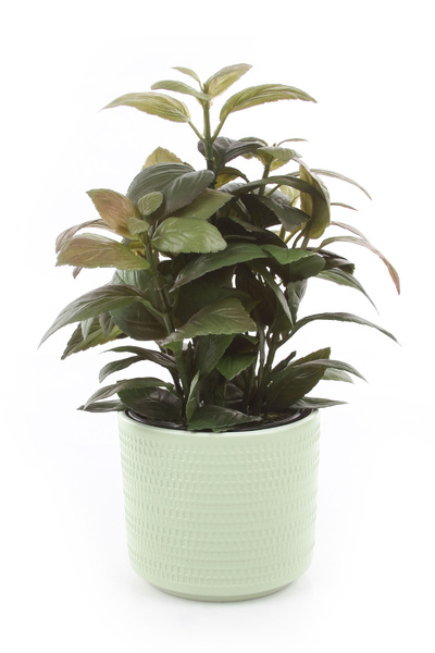 SWING 14,5/12 doniczka ceramiczna pistacjowa