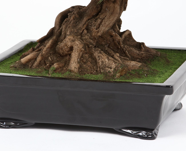 Sztuczne drzewko Bonsai Sosna Pinia 70 cm