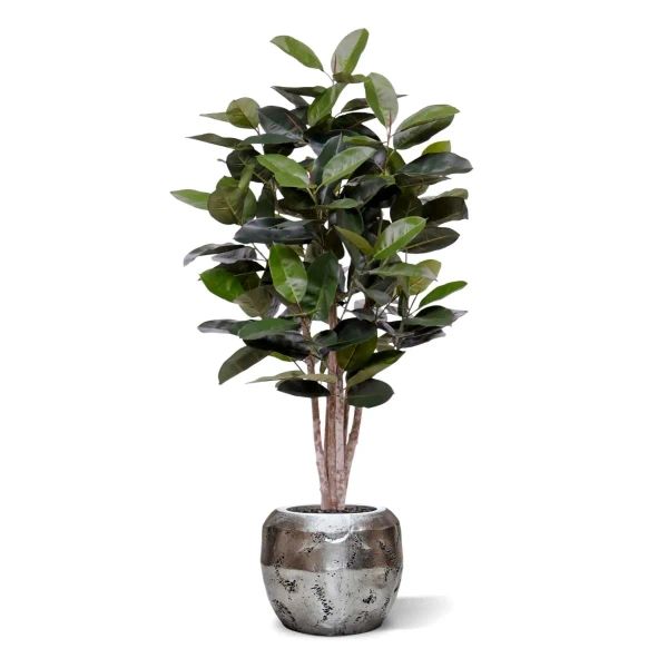 Sztuczny Fikus Elastica Robusta 170 cm