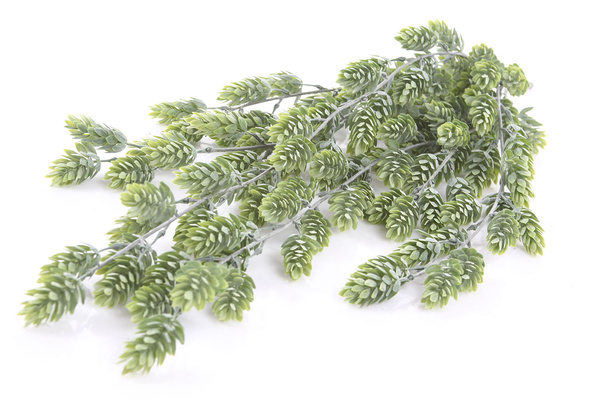 Sztuczne Chmiel wiszący pnącze 75 cm