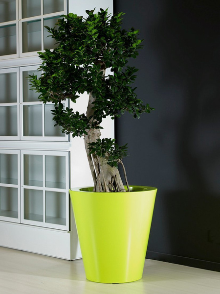 KUNO GLOSS 60/60 okrągła donica zieleń wiosenna półpołysk acid green