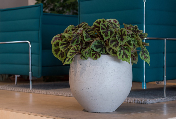 Mini Orb XL 39/35 szara donica kulista