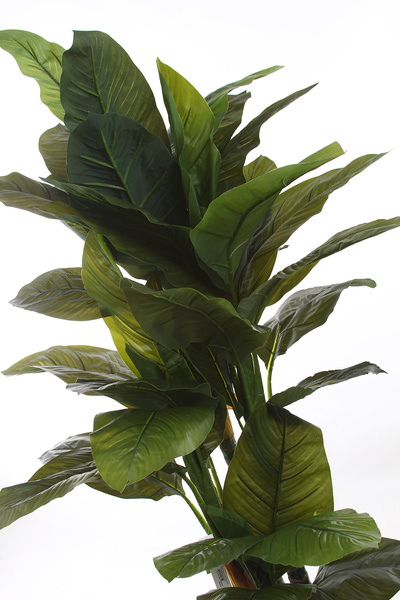 Sztuczny skrzydłokwiat Spathiphyllum 160 cm 41 liści