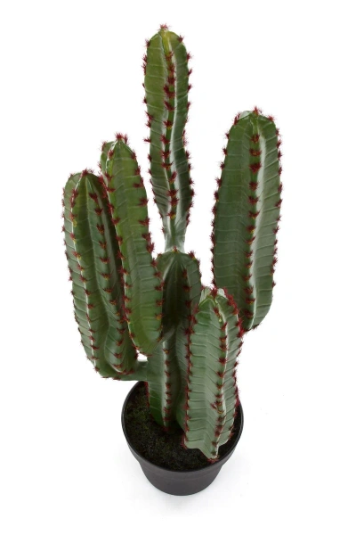 Sztuczny Kaktus Euphorbia 76 cm w doniczce