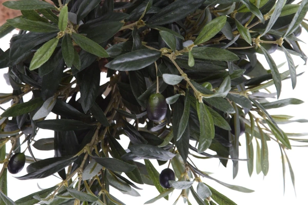 Sztuczna niska Oliwka na grubym pniu 60 cm