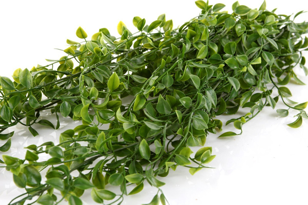 Sztuczny Fikus pumila wiszący pnącze 80 cm