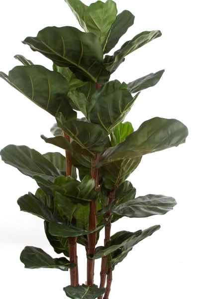 Sztuczny Fikus Lyrata 165 cm duże liście deluxe