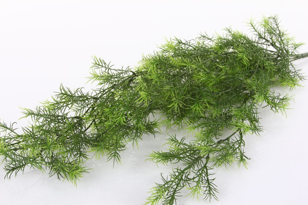 Sztucznu Asparagus wiszący pnącze 75 cm zielony