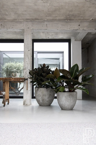 Bernd S 33/37 naturalna osłonka cesarska biel imperial white