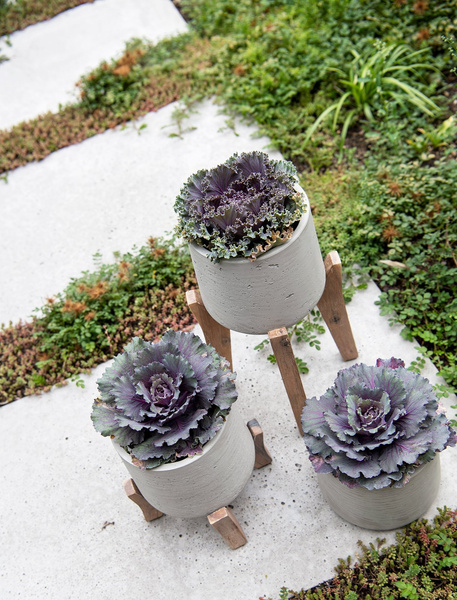 Patt XXL 42/43 czarna donica na niskim drewnianym stojaku