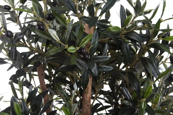 Sztuczna Oliwka 180 cm drewniany rozgałęziony pień