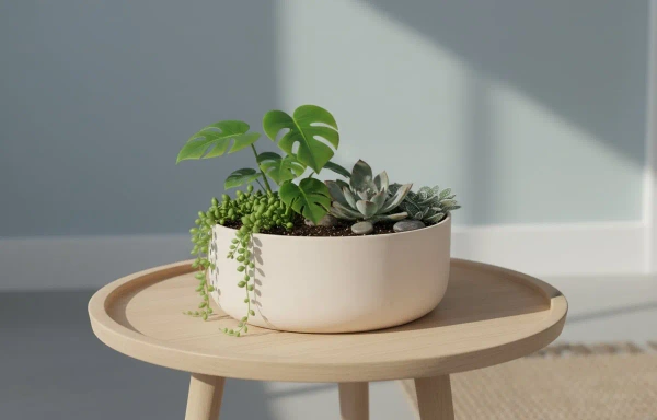 Eav XS 27/11 misa z piaskowca natural white