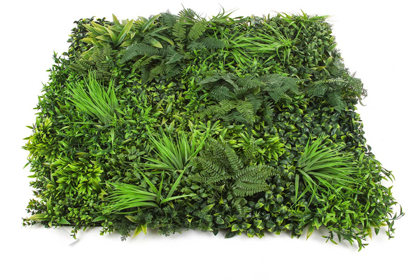 Mata zielona ściana Forest 100x100 cm mix z roślin leśnych