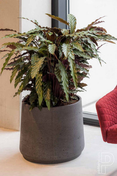 Patt XL 23/19,5 doniczka kamienna czarna black washed