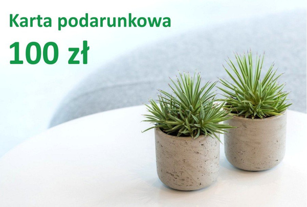 Karta podarunkowa 100 zł e-karta