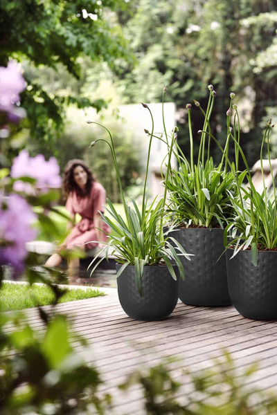 Fuente 29/24 doniczka czarny wytłaczana onyx black