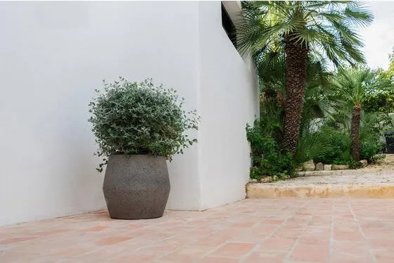 Harley S 36/32 kamienna osłonka szarobrązowa dioryt