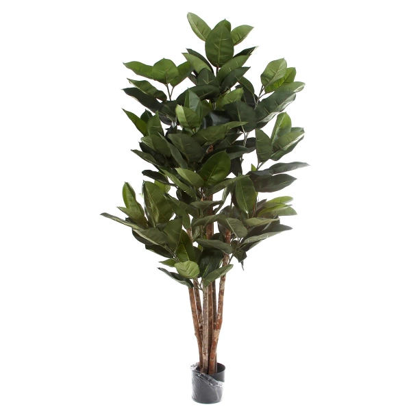 Sztuczny Fikus Elastica Robusta 170 cm