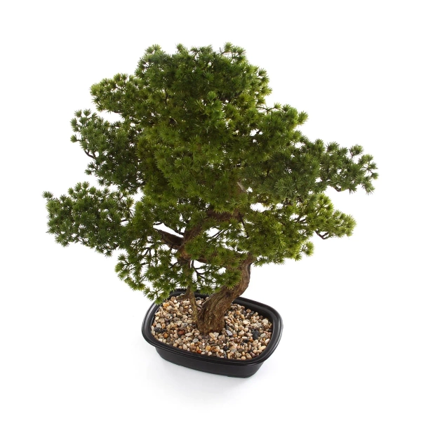Sztuczny Bonsai Pinia Sosna 68 cm w czarnej doniczce