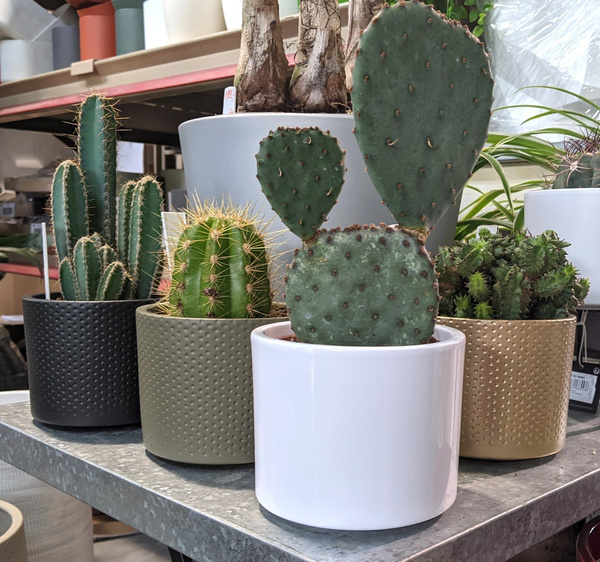 ERA 23/21 osłonka walec ceramiczna biała z połyskiem