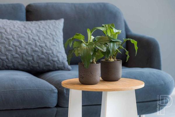 Charlie XS 12/11,5 brązowa doniczka walec kamienna czekoladowa