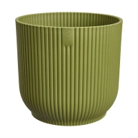 zielony / fern green