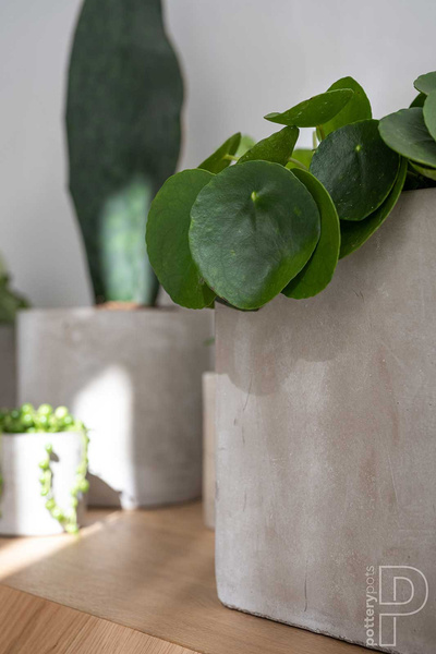 Grace M 14x14/14 osłonka kubik cementowa szara