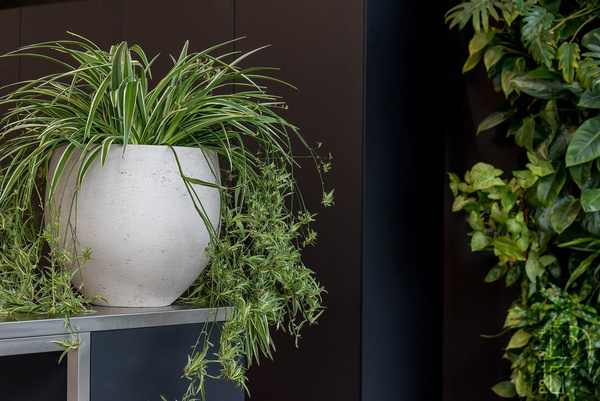 Orb M 48/43 duża donica kulista okrągła szara