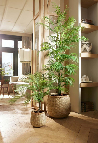 Sztuczna palma Chamaedorea 180 cm - jak żywa